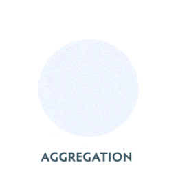 Aggregation